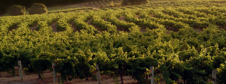 australia_header