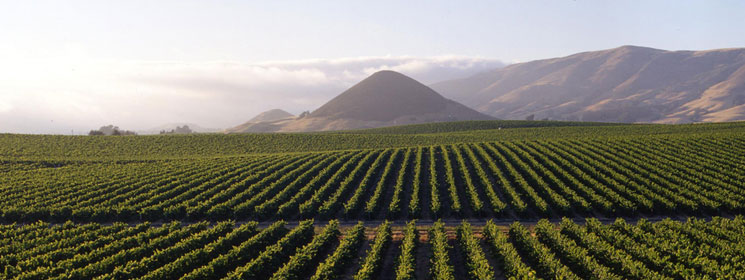 chile_header