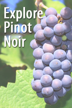 explore_pinot_noir