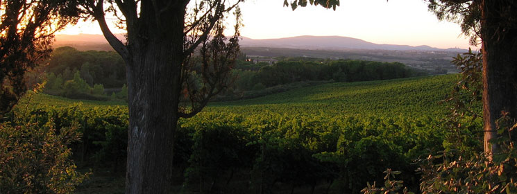 italy-tuscany_header