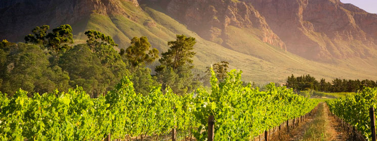 southafrica_header