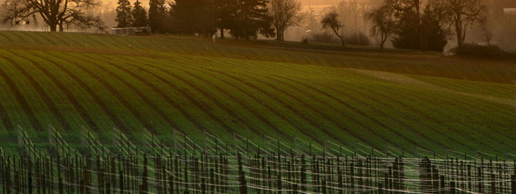 usa-oregon_header