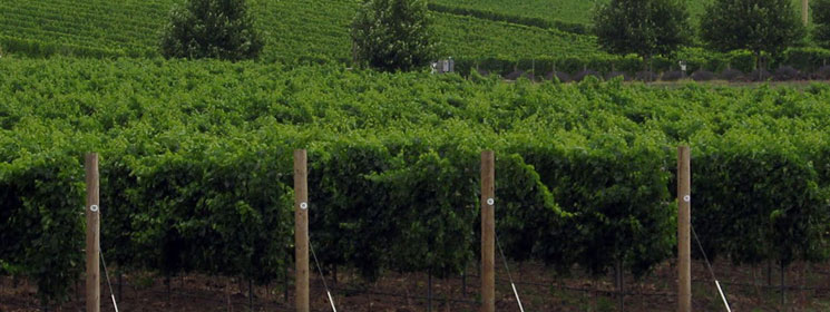 usa-washington_header