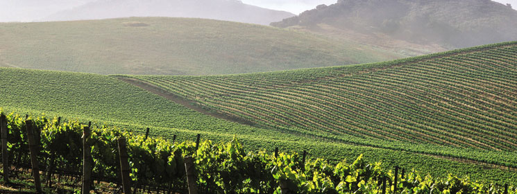 usa_header