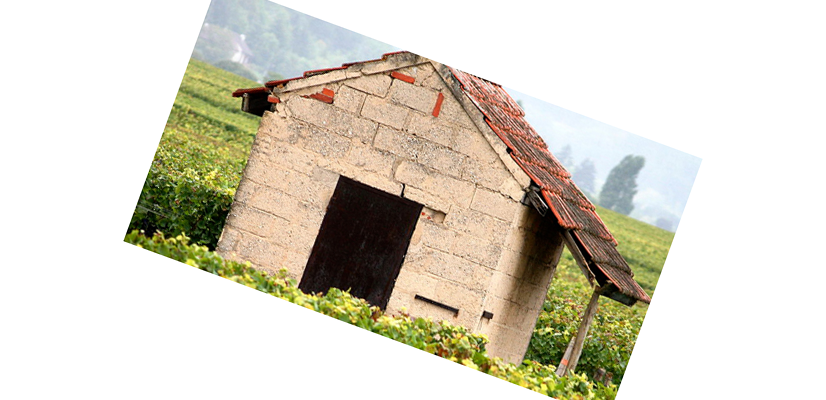 Bishop's Cellar explores Burgundy <a href='http://bishopscellar.com/blog/'> Follow our adventures </a>