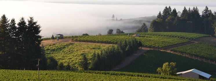 westcoast_tasting