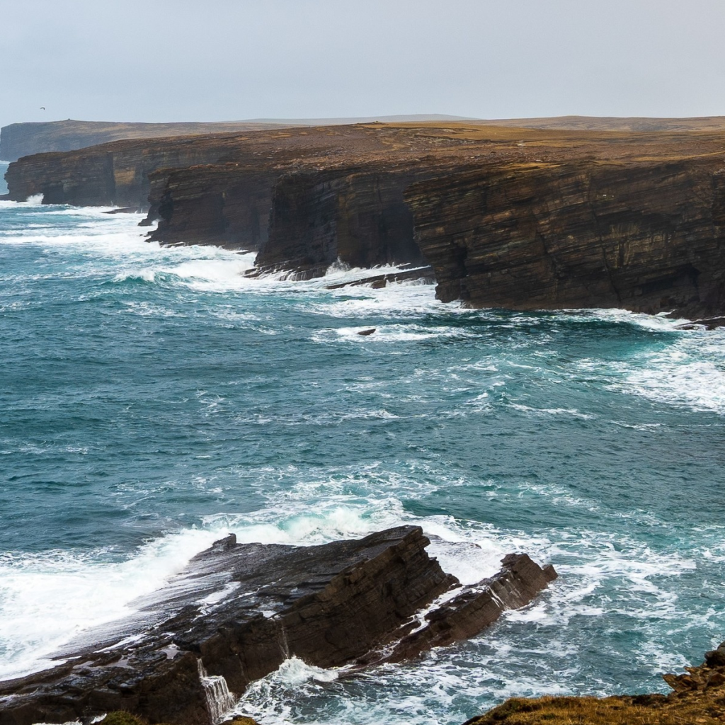 Product image for Highland Park 12 Year Old Viking Honour