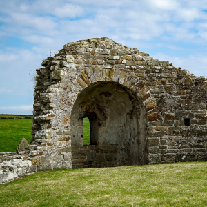 Product image for Highland Park 12 Year Old Viking Honour