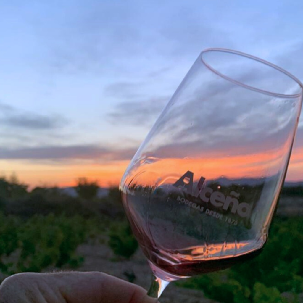 Product image for Alceno Premium 50 Barricas Syrah