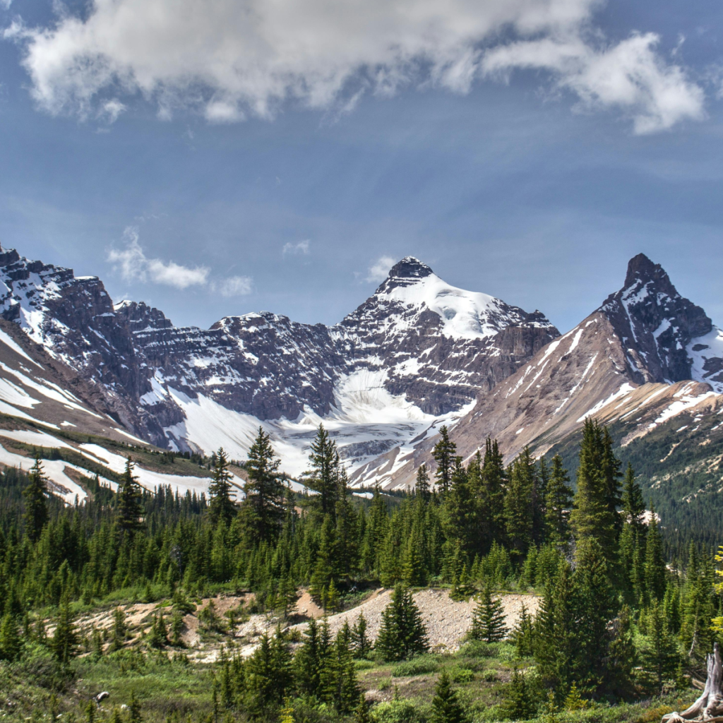Product image for Alberta Spring Whisky