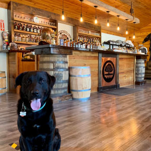 Product image for Still Fired Granny's Apple Pie Moonshine