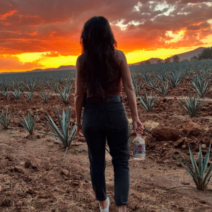 Product image for Siempre Tequila Plata