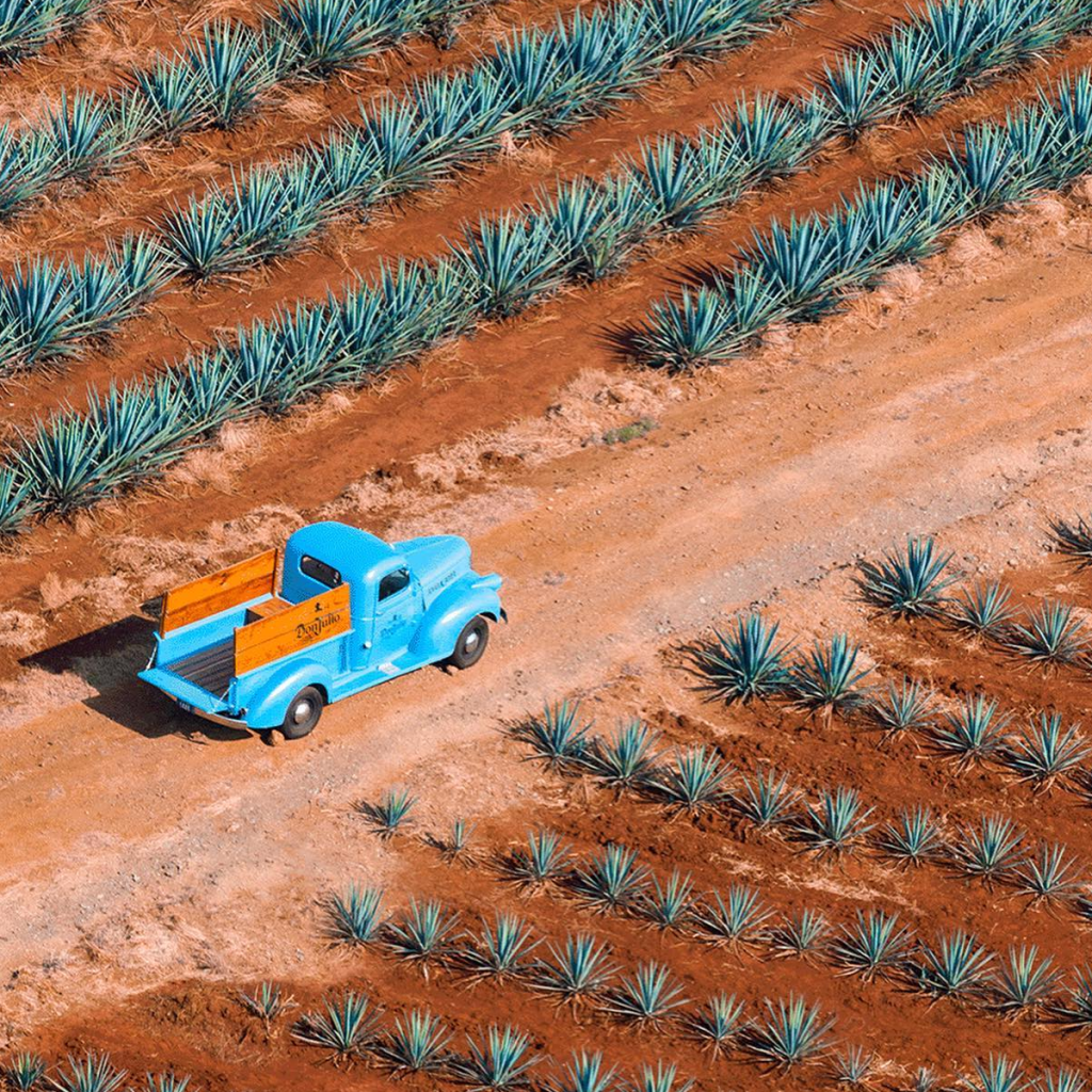 Product image for Don Julio Blanco