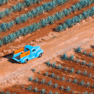 Product image for Don Julio Blanco