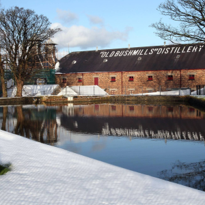 Product image for Bushmills Single Malt Irish Whiskey