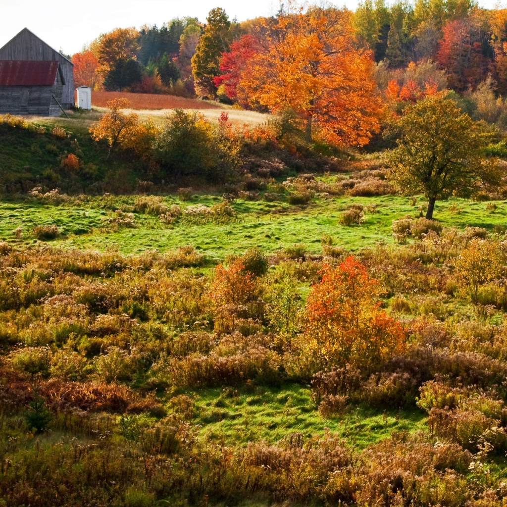 Product image for Caldera Distilling Hurricane 5 Whisky