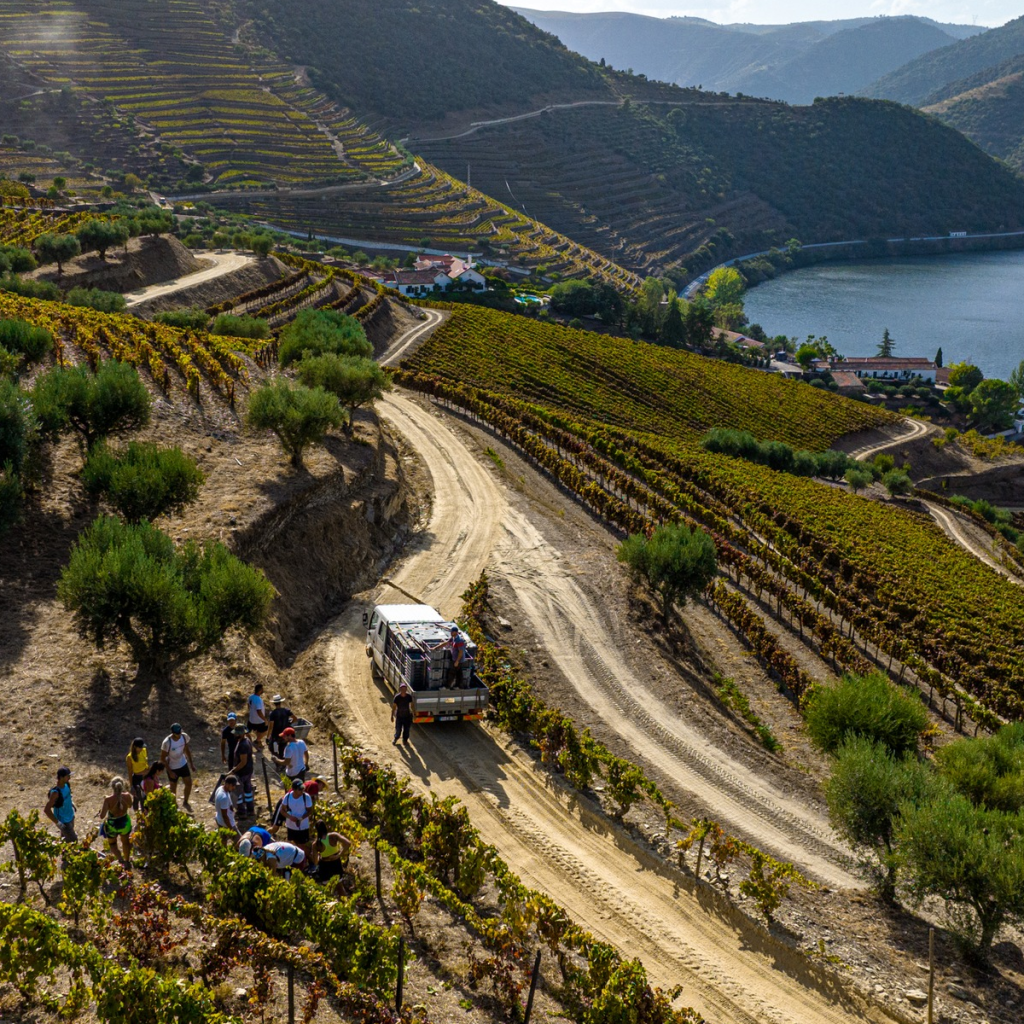 Product image for Taylor Fladgate LBV Port