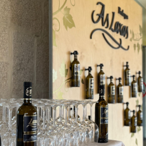 Product image for Laxas Albarino