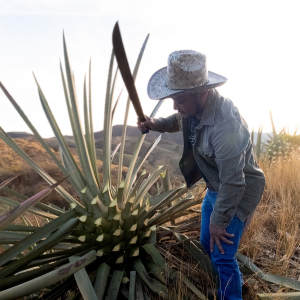 Product image for Del Maguey Vida Mezcal