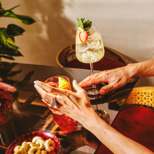 Product image for Martini Bianco Vermouth