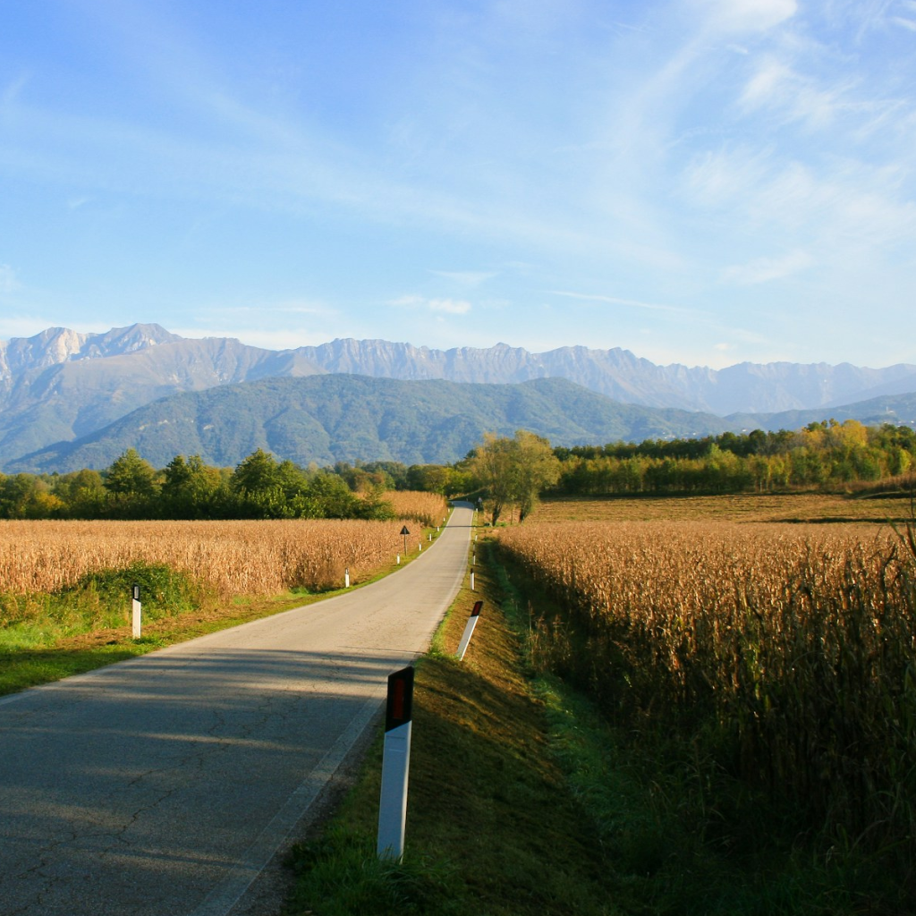 Product image for Amaro Quintessentia Nonino