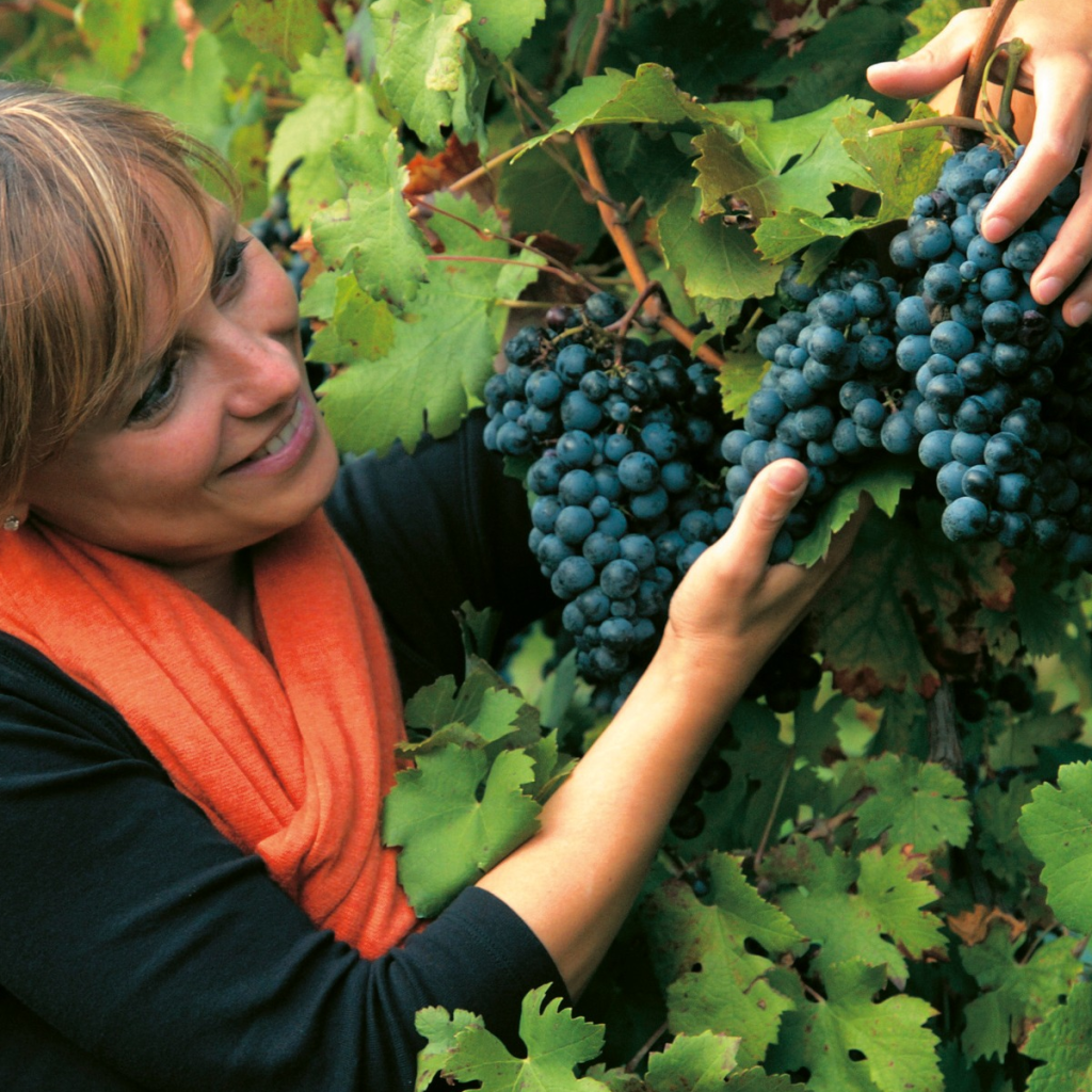 Product image for Amaro Quintessentia Nonino