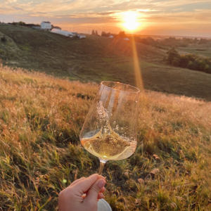 Product image for Perelada Stars Cava Brut Nature