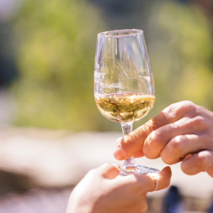 Product image for Croft White Port