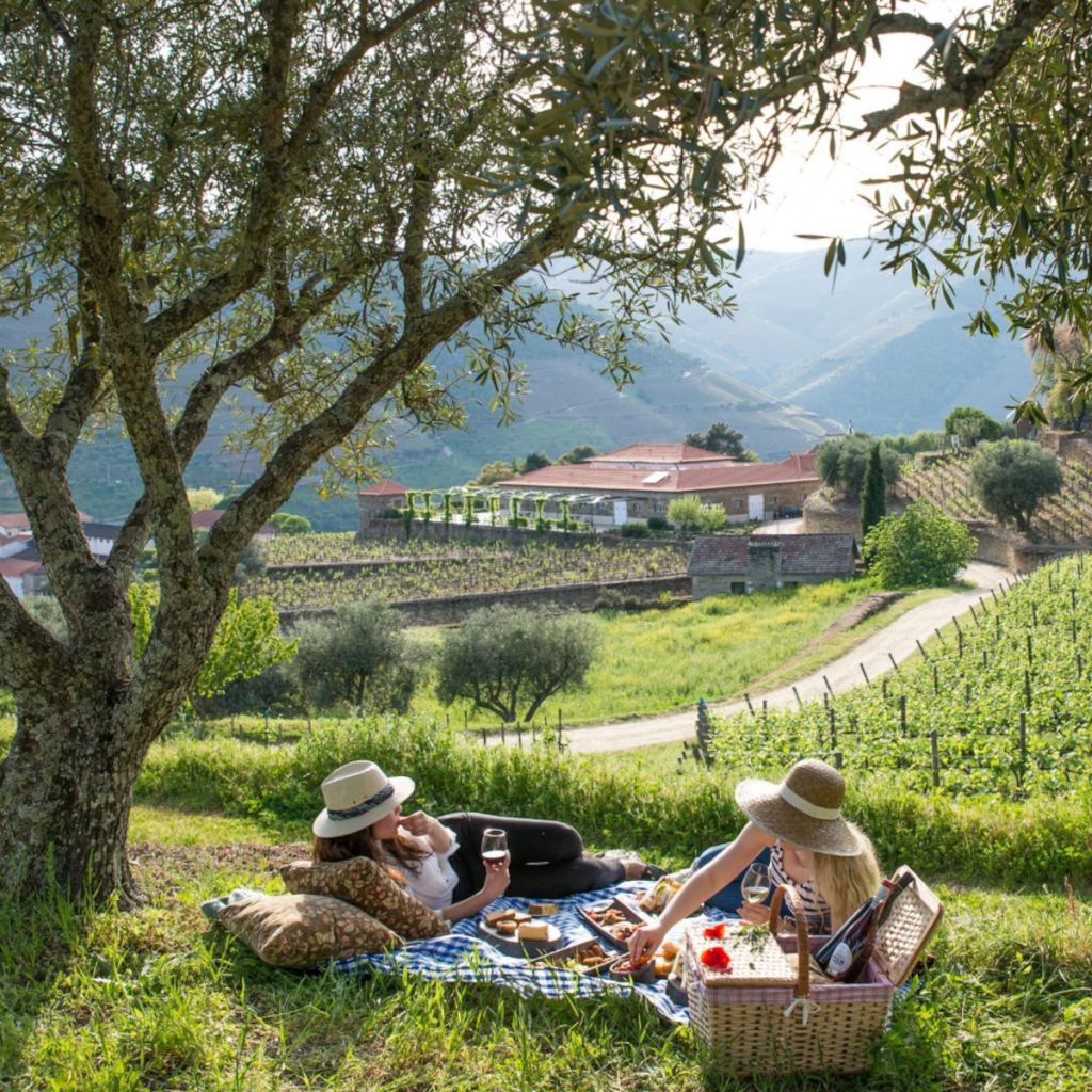 Product image for Croft White Port