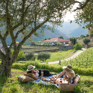 Product image for Croft White Port