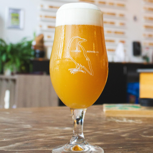 Product image for 2 Crows Brewing Co. - Pollyanna Northeast IPA