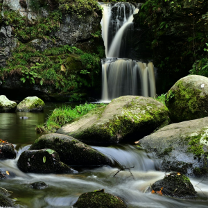 Product image for Aberlour A'bunadh Speyside Single Malt