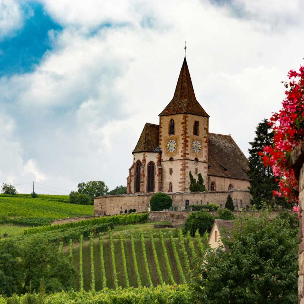 Product image for Meyer Fonne Riesling Reserve