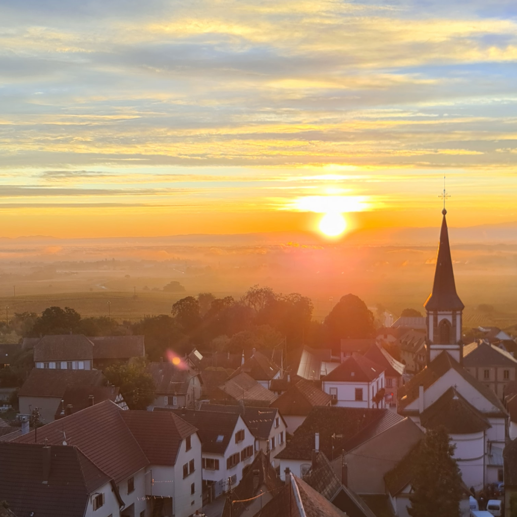 Product image for Rolly Gassmann Riesling