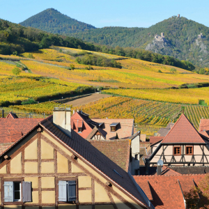 Product image for Meyer Fonne Riesling Reserve