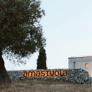 Product image for Amastuola Primitivo