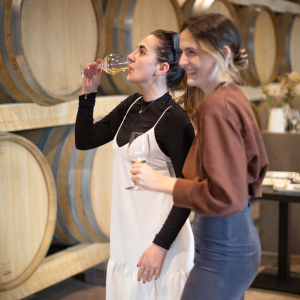 Product image for Benjamin Bridge NV