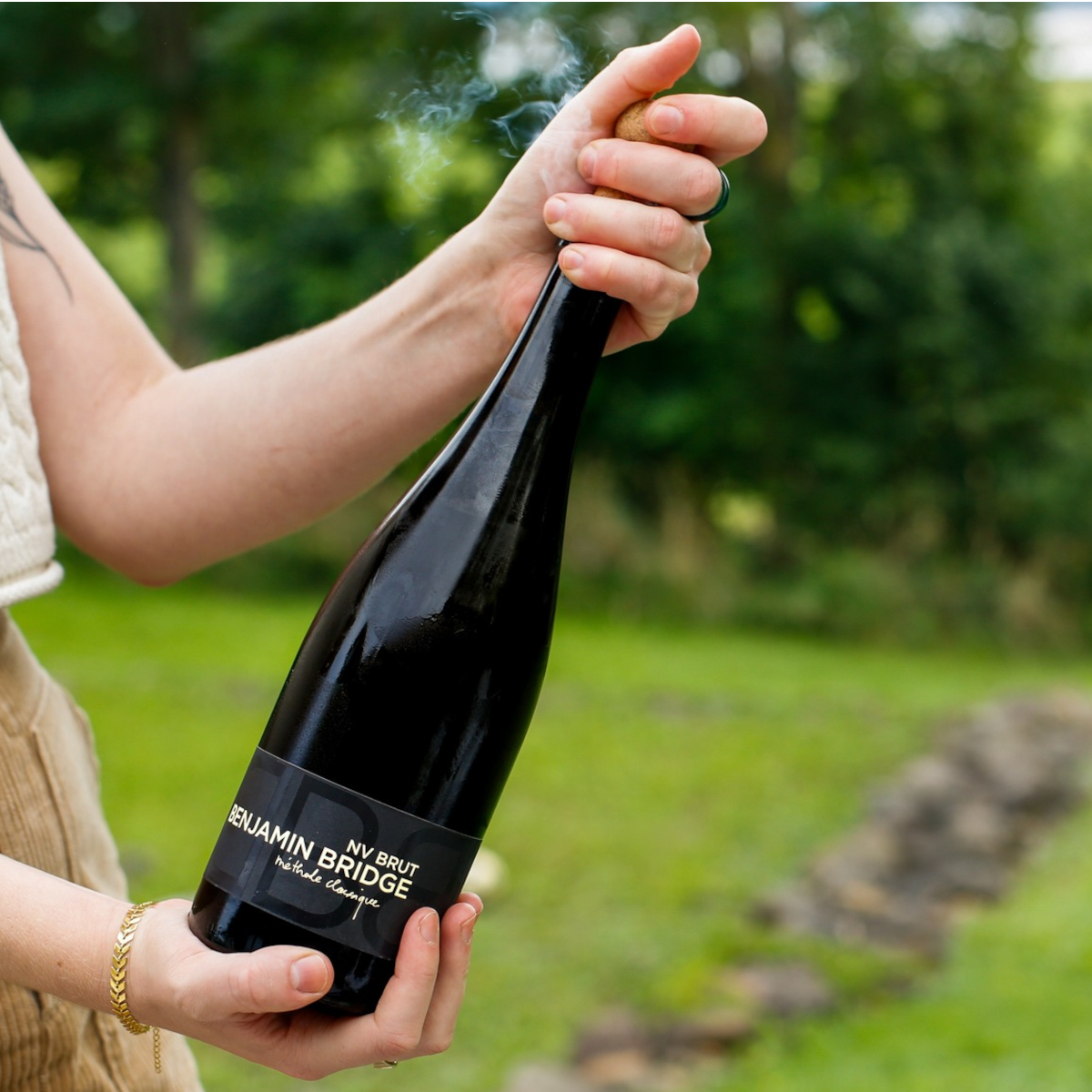 Product image for Benjamin Bridge NV