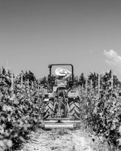 Product image for Saint Cosme Cotes du Rhone