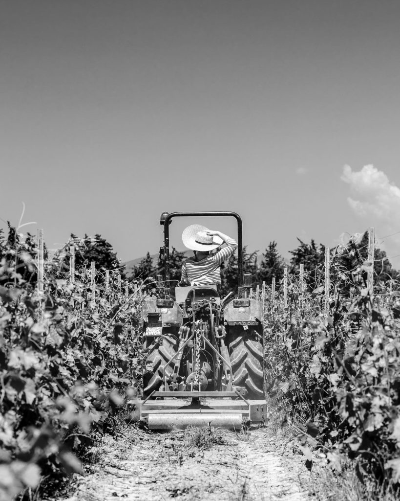 Product image for Saint Cosme Cotes du Rhone