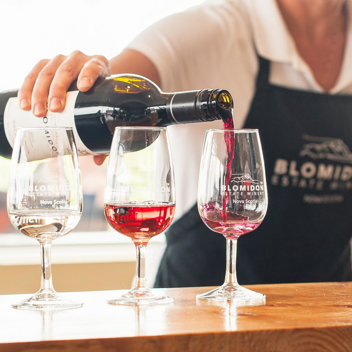 Product image for Blomidon Baco Noir