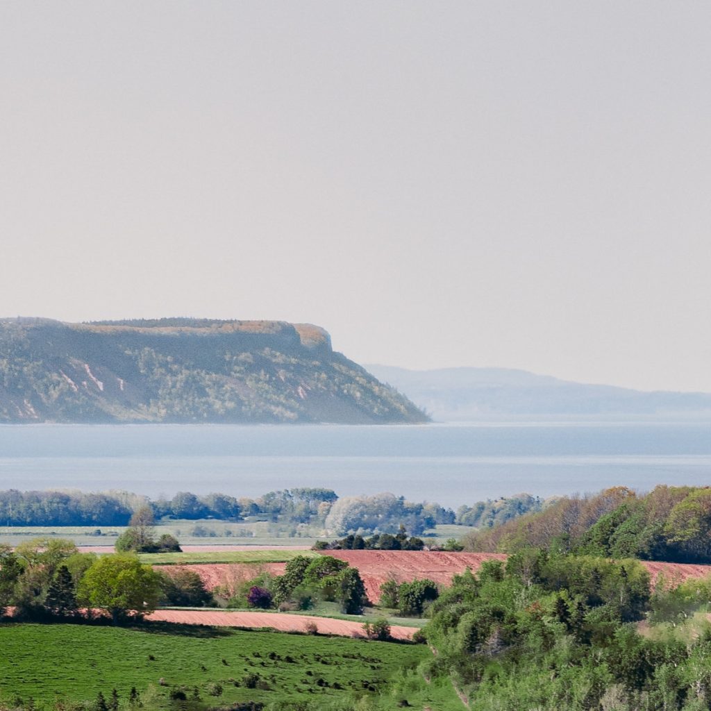 Product image for Blomidon NV Cuvée L'Acadie