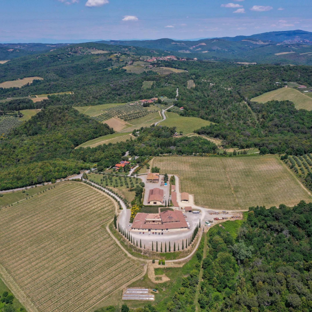 Product image for Borgo Scopeto Chianti Classico 375ml