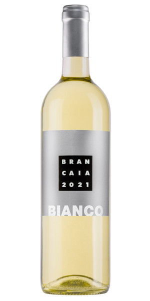A product image for Brancaia Il Bianco