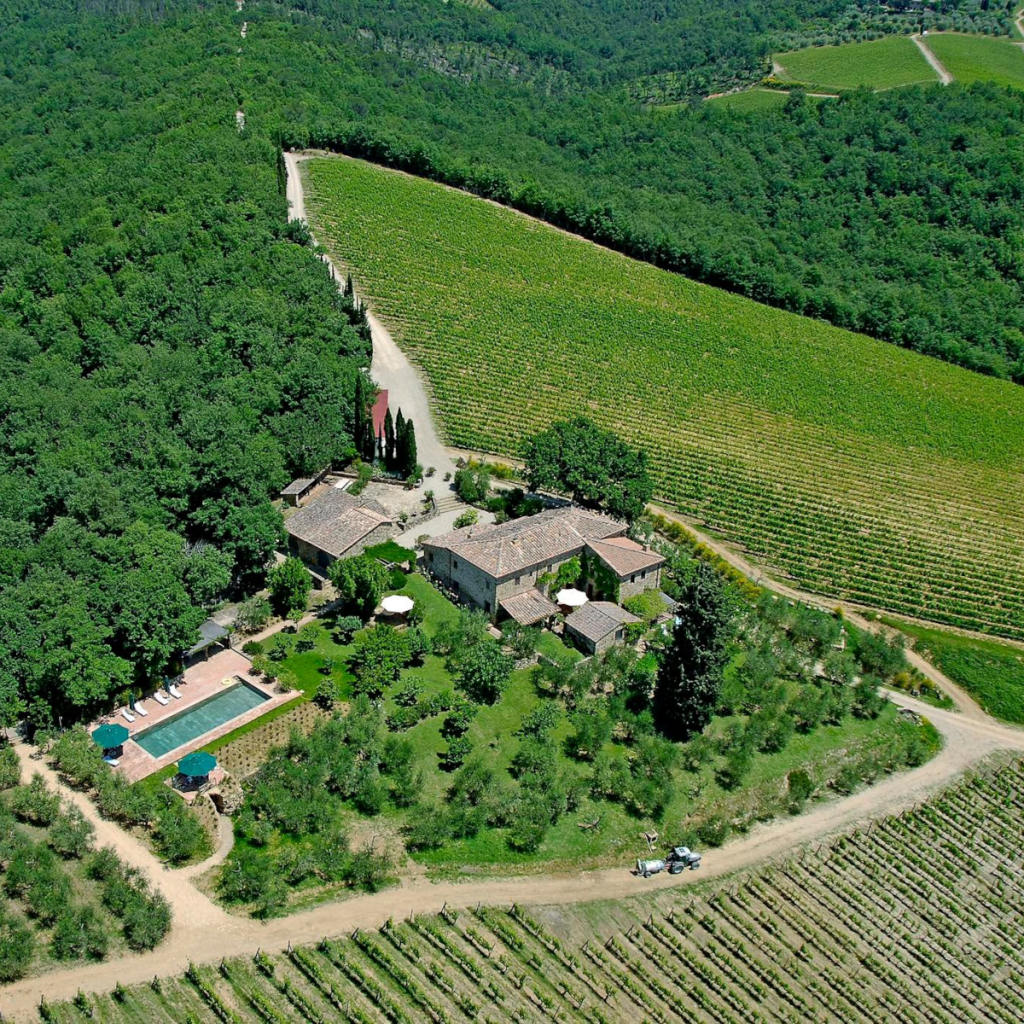 Product image for Brancaia Il Bianco