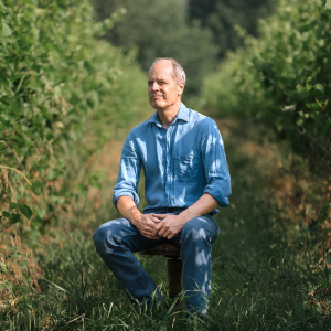 Product image for L'Acadie Vineyards Vintage Cuvee Organic