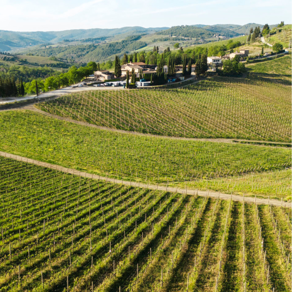 Product image for Villa Cafaggio Cortaccio