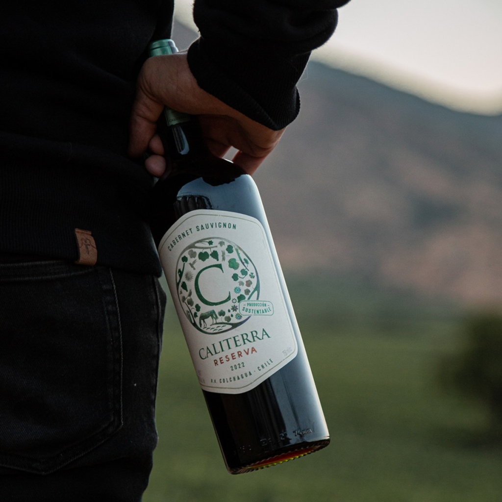 Product image for Caliterra Cabernet Sauvignon