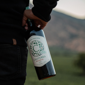 Product image for Caliterra Cabernet Sauvignon