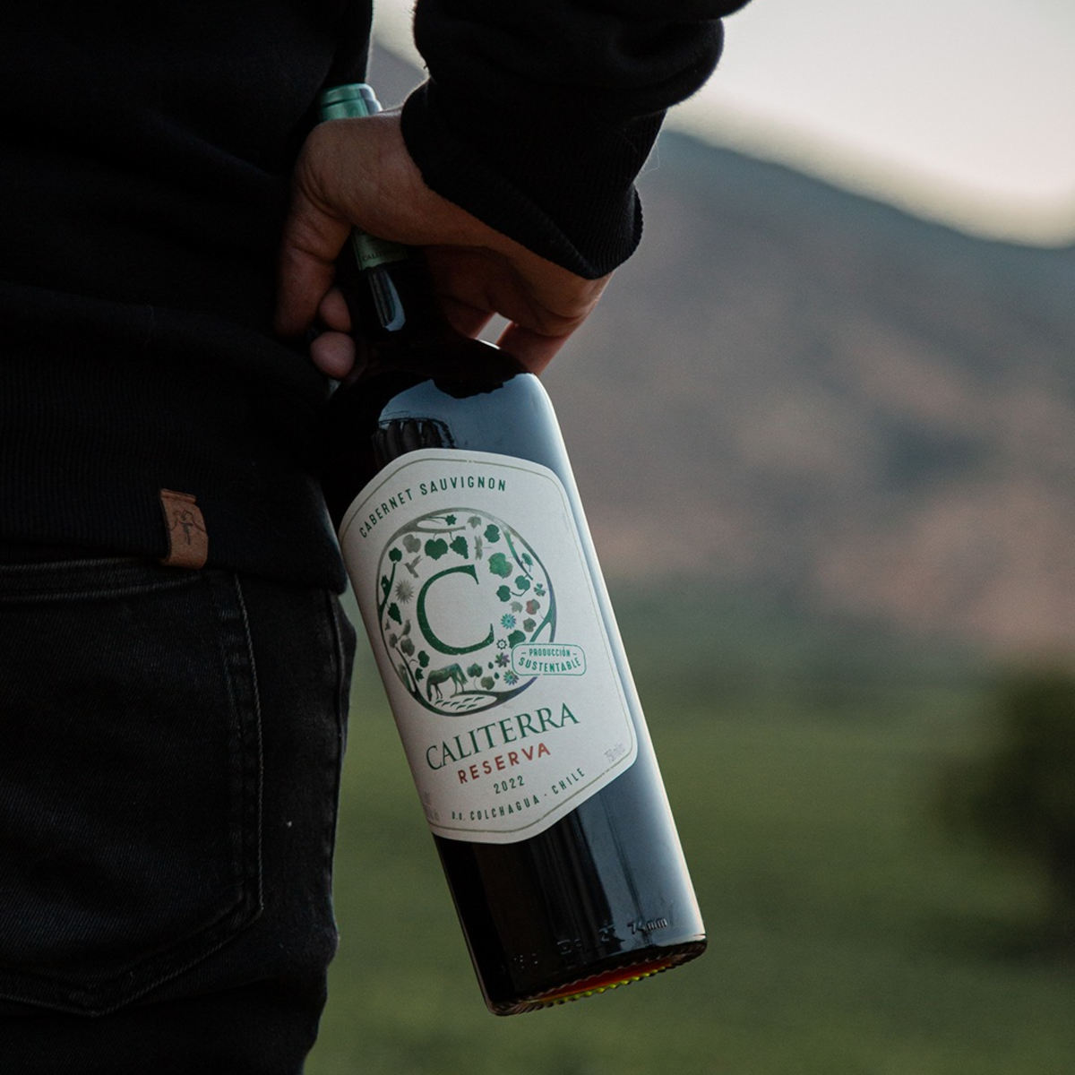 Product image for Caliterra Cabernet Sauvignon